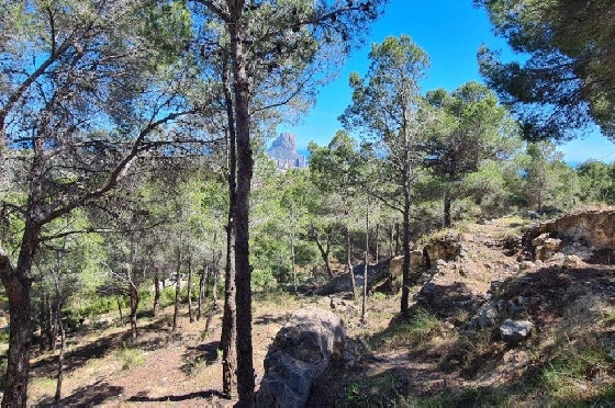 Wohngrundstück in Calpe zu verkaufen, Klimaanlage, Terrain 2500 m², Pool, ref.: AM-11750NS-5
