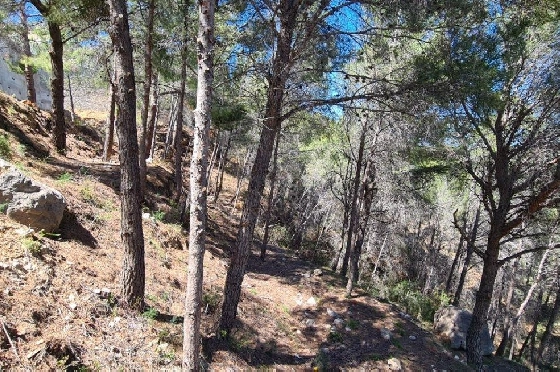 Wohngrundstück in Calpe zu verkaufen, Klimaanlage, Terrain 2500 m², Pool, ref.: AM-11750NS-6