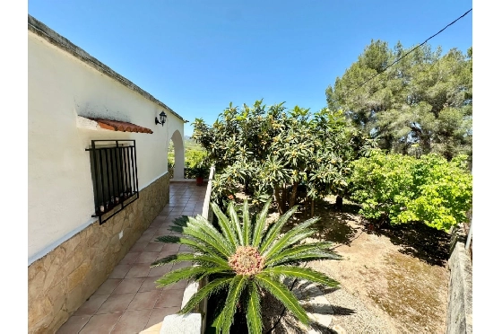 Finca in Pego zu verkaufen, Espace de vie 45 m², Baujahr 1985, + Ofen, Klimaanlage, Terrain 4600 m², 2 Chambres &agrave; coucher, 1 Badezimmer, Pool, ref.: O-V94614-19