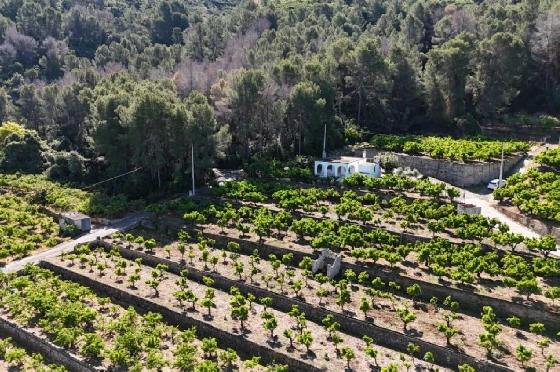 Finca in Pego zu verkaufen, Espace de vie 45 m², Baujahr 1985, + Ofen, Klimaanlage, Terrain 4600 m², 2 Chambres &agrave; coucher, 1 Badezimmer, Pool, ref.: O-V94614-4