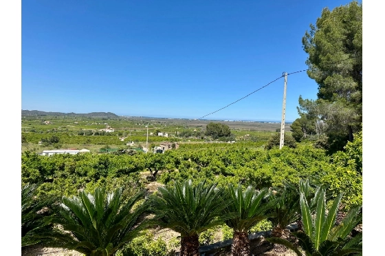 Finca in Pego zu verkaufen, Espace de vie 45 m², Baujahr 1985, + Ofen, Klimaanlage, Terrain 4600 m², 2 Chambres &agrave; coucher, 1 Badezimmer, Pool, ref.: O-V94614-7