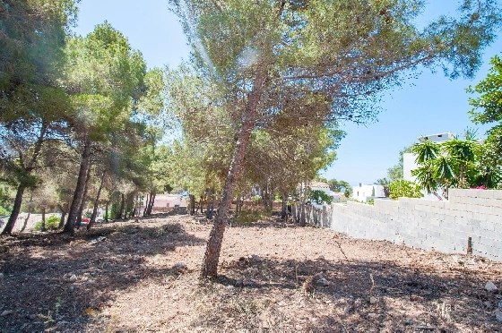 Wohngrundstück in Moraira zu verkaufen, Klimaanlage, Terrain 2177 m², Pool, ref.: AM-12200DA-10