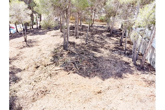 Wohngrundstück in Moraira zu verkaufen, Klimaanlage, Terrain 2177 m², Pool, ref.: AM-12200DA-12
