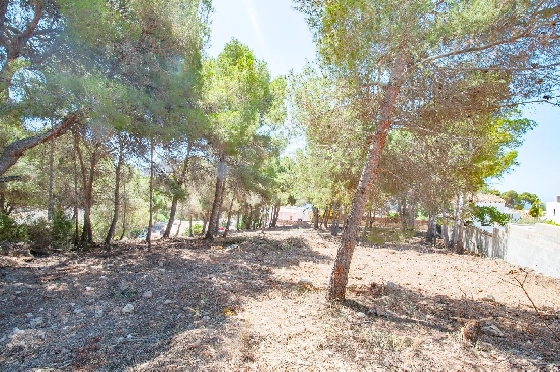 Wohngrundstück in Moraira zu verkaufen, Klimaanlage, Terrain 2177 m², Pool, ref.: AM-12200DA-13