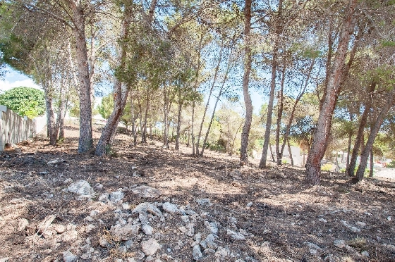 Wohngrundstück in Moraira zu verkaufen, Klimaanlage, Terrain 2177 m², Pool, ref.: AM-12200DA-5
