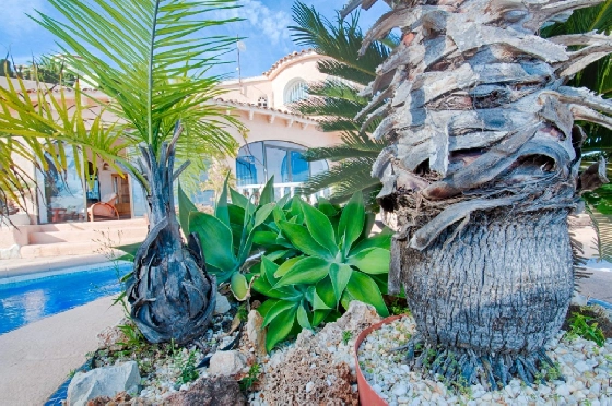 Villa in Moraira zu verkaufen, Espace de vie 300 m², Baujahr 1984, Klimaanlage, Terrain 1615 m², 3 Chambres &agrave; coucher, 2 Badezimmer, Pool, ref.: AM-12279DA-9