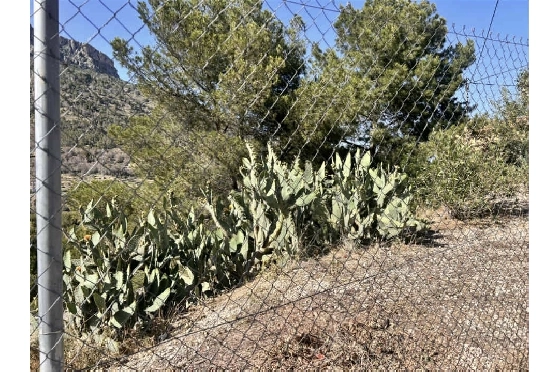 Wohngrundstück in Calpe zu verkaufen, Terrain 1186 m², ref.: AS-1925-5