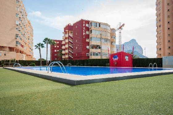 Apartment in Calpe(Playa de Fossa Levante) zu verkaufen, Espace de vie 55 m², Klimaanlage, 1 Chambres &agrave; coucher, 1 Badezimmer, Pool, ref.: COB-3554-10535-3