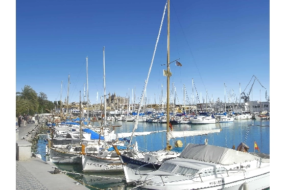 Apartment in Palma De Mallorca(Palma centre) zu verkaufen, Espace de vie 82 m², Terrain 88 m², 2 Chambres &agrave; coucher, 2 Badezimmer, ref.: TW-6-PALMA-25