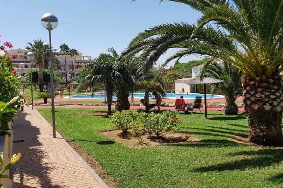 Apartment in Denia zu verkaufen, 2 Chambres &agrave; coucher, 2 Badezimmer, Pool, ref.: PT-26001-2