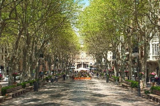 Apartment in Palma De Mallorca zu verkaufen, Espace de vie 105 m², Terrain 114 m², 3 Chambres &agrave; coucher, 2 Badezimmer, ref.: TW-COR-39,-PALMA-20