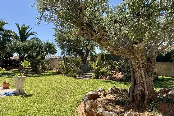 Villa in Els Poblets zu verkaufen, Espace de vie 383 m², Baujahr 2002, Zustand gepflegt, + Fussbodenheizung, Klimaanlage, Terrain 1821 m², 3 Chambres &agrave; coucher, 3 Badezimmer, Pool, ref.: RG-1126-31